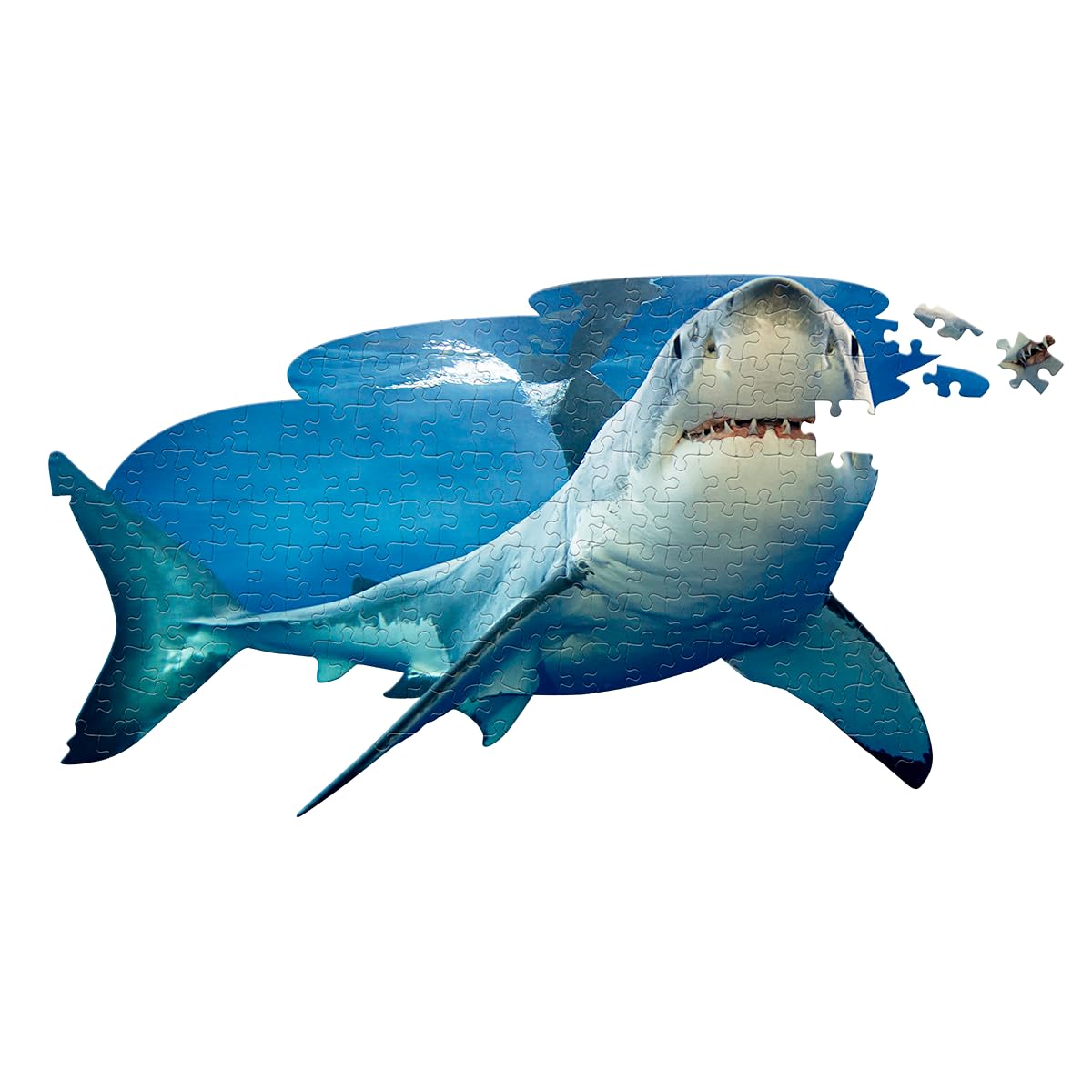 Amazon.com: Madd Capp Puzzles Jr. - I AM Lil' Shark - 100